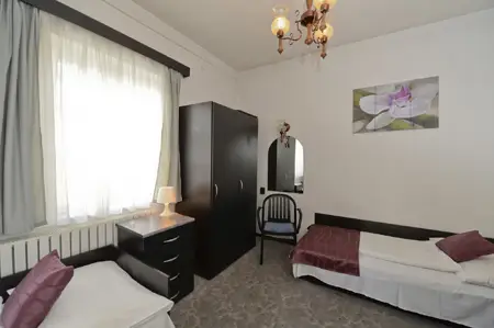 Cazare Budapesta - Hotelul Budai ***