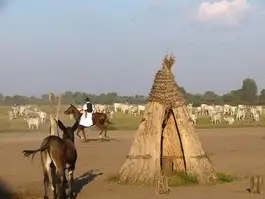 Bugac Karikás Csárda - Toldi Tanya szállás