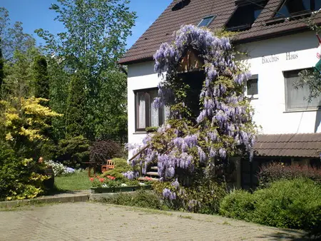 Eger - Bacchus Vendégház