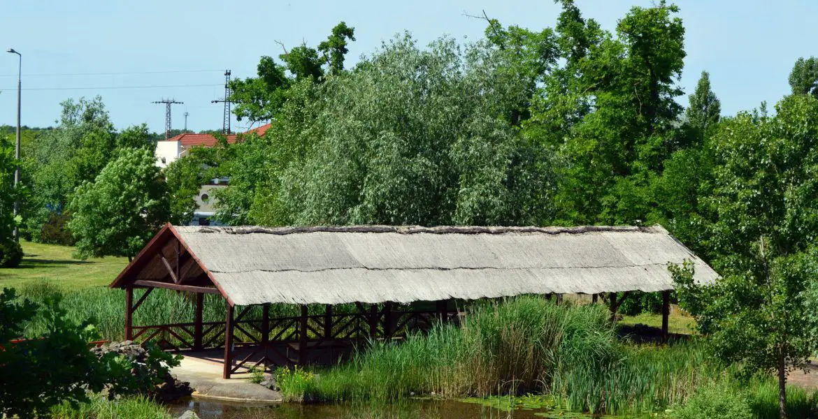 Fűzesgyarmat Thermal Hotel Gara ***