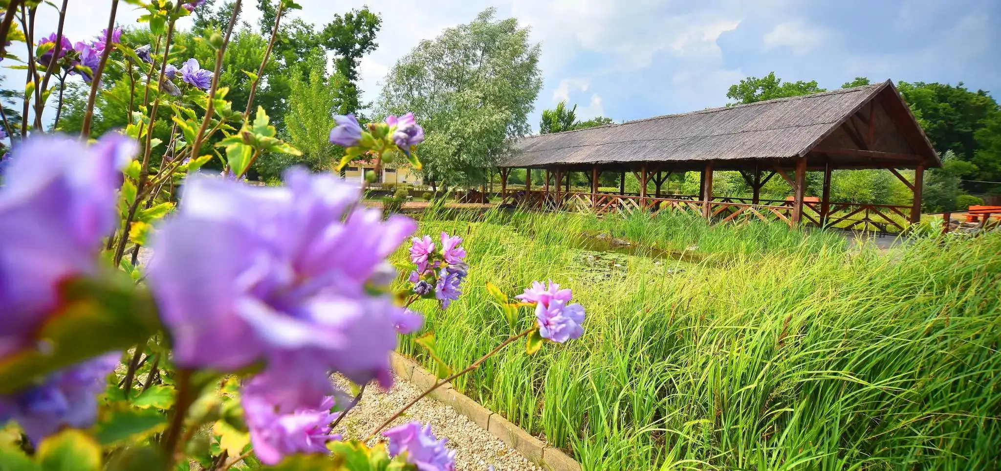 Fűzesgyarmat Thermal Hotel Gara