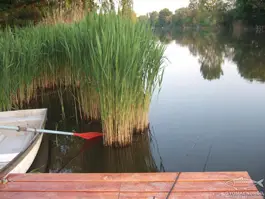 Gyomaendrőd Horgászparadicsom Soczó