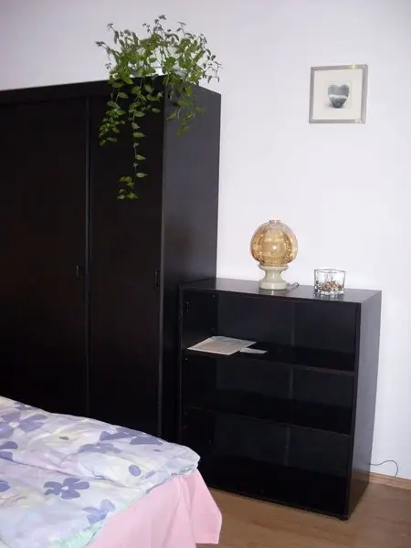 Cazare Gyula - Apartament Janna