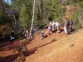 Halimba Ezüstfenyő Turistaszálló