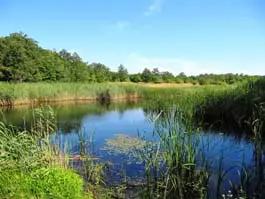 Halimba Ezüstfenyő Turistaszálló