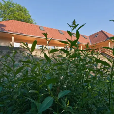 Irota szállás - EcoLodge erdőre néző üdülőház