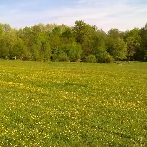 Kisrákos Őrségi Patakparti Alpaka Panzió