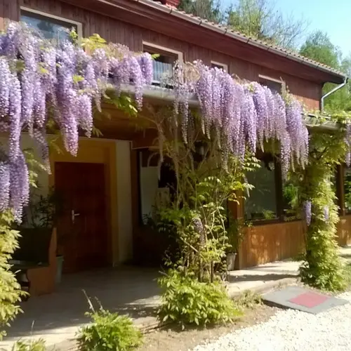 Kisrákos Őrségi Patakparti Alpaka Panzió