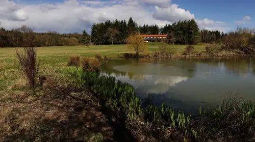 Kisrákos Őrségi Patakparti Alpaka Panzió