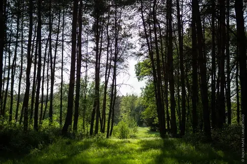 Libickozma Háromházi Fogadó