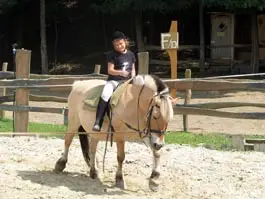 Nőtincs Parcul de distractii Seholsziget