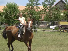 Szállás Nyíregyháza-Sóstófürdő Sóstói Lovasklub Turistaház, Kemping és Szabadidőpark