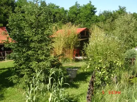 Cazare Őriszentpéter Casa Mihaly