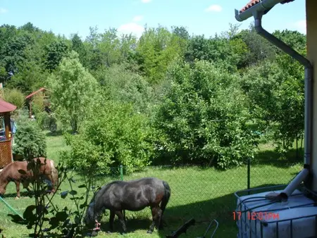 Cazare Őriszentpéter Casa Mihaly