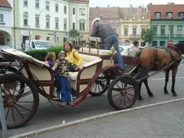 Pápa Zsófia Panzió