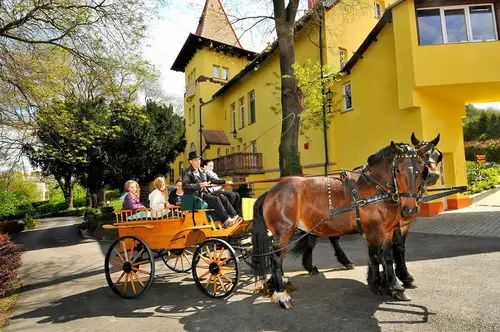 Simontornya Fried Hotel Castel ****